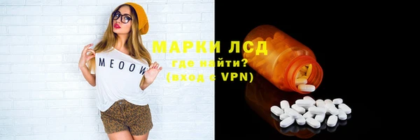 шишки Тавда