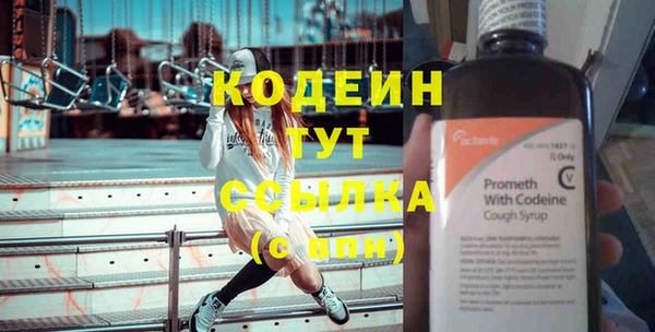 шишки Тавда